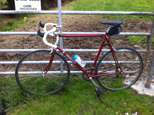 Didi resting by a gate near the top of Lyons Hill.