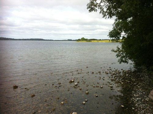 A very low Lough Owel.