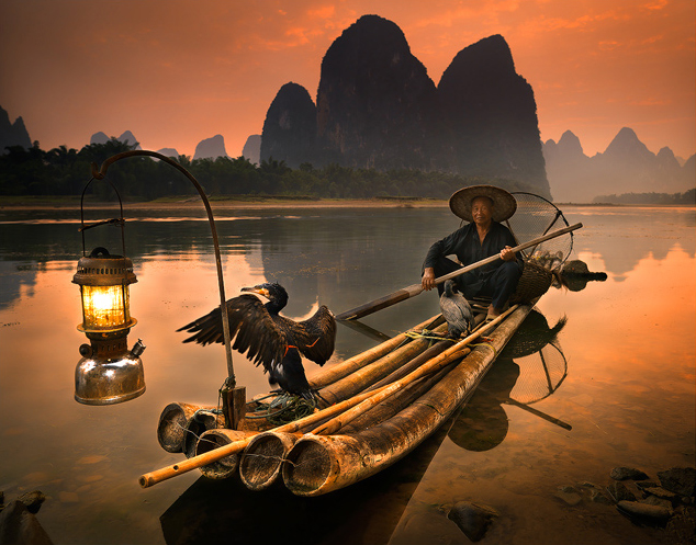 cormorant_fishing1.jpg
